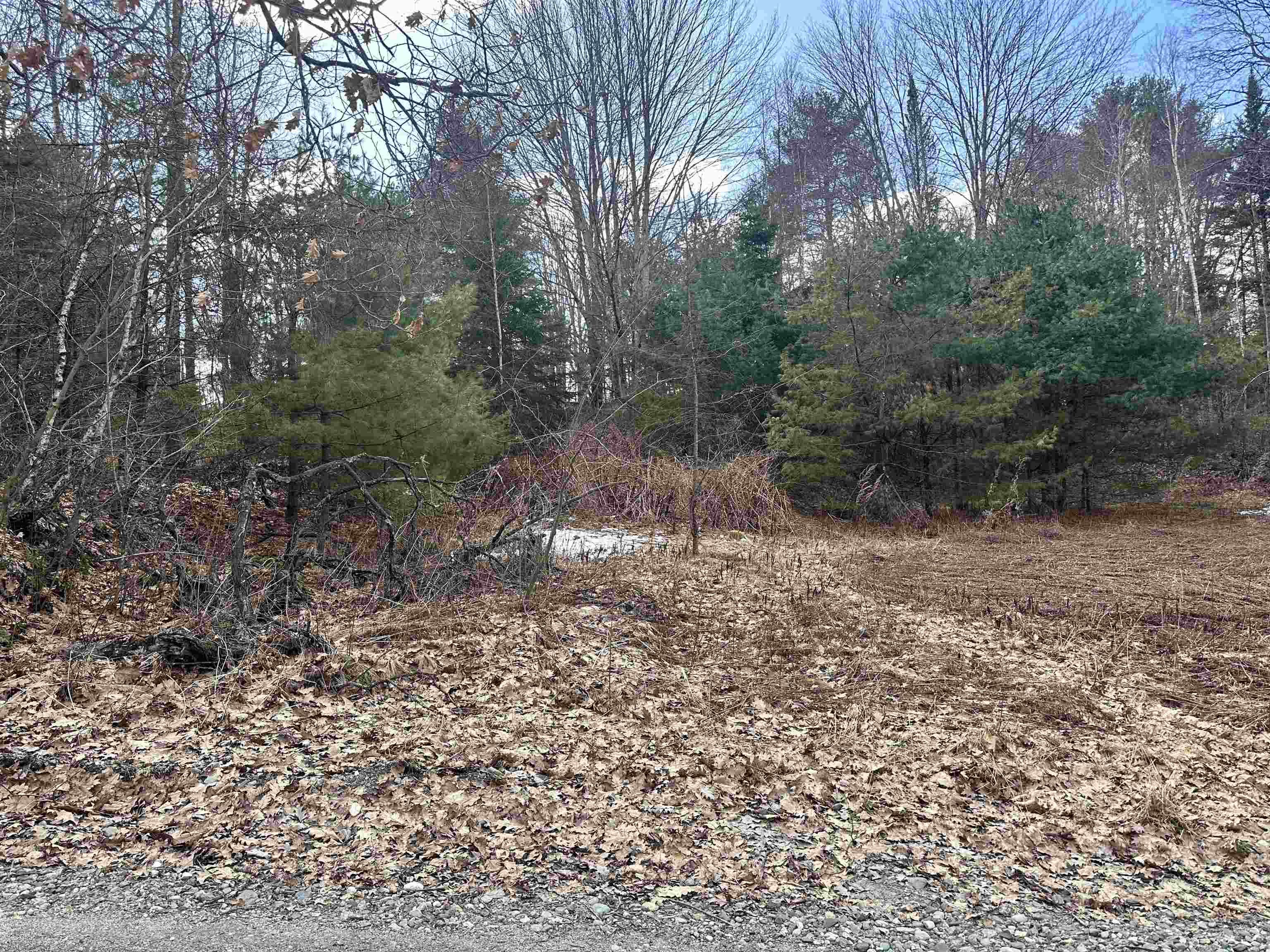 0 Hodge Hill Road, Unit 58 Lisbon, NH 03585 - Photo 4 of 7