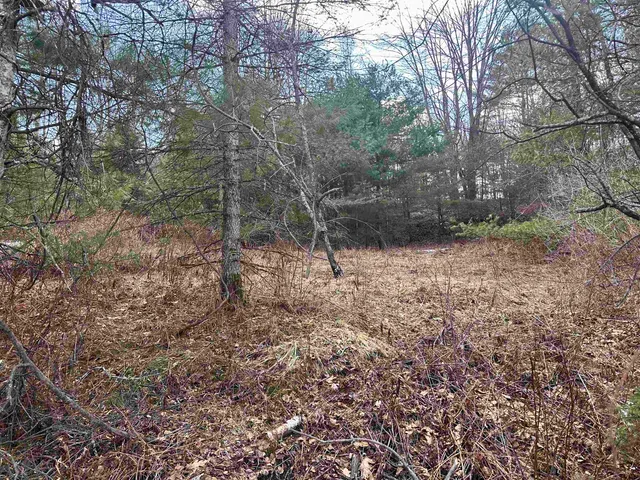 $34,000 | 0 Hodge Hill Road, Unit 58, Lisbon, NH 03585