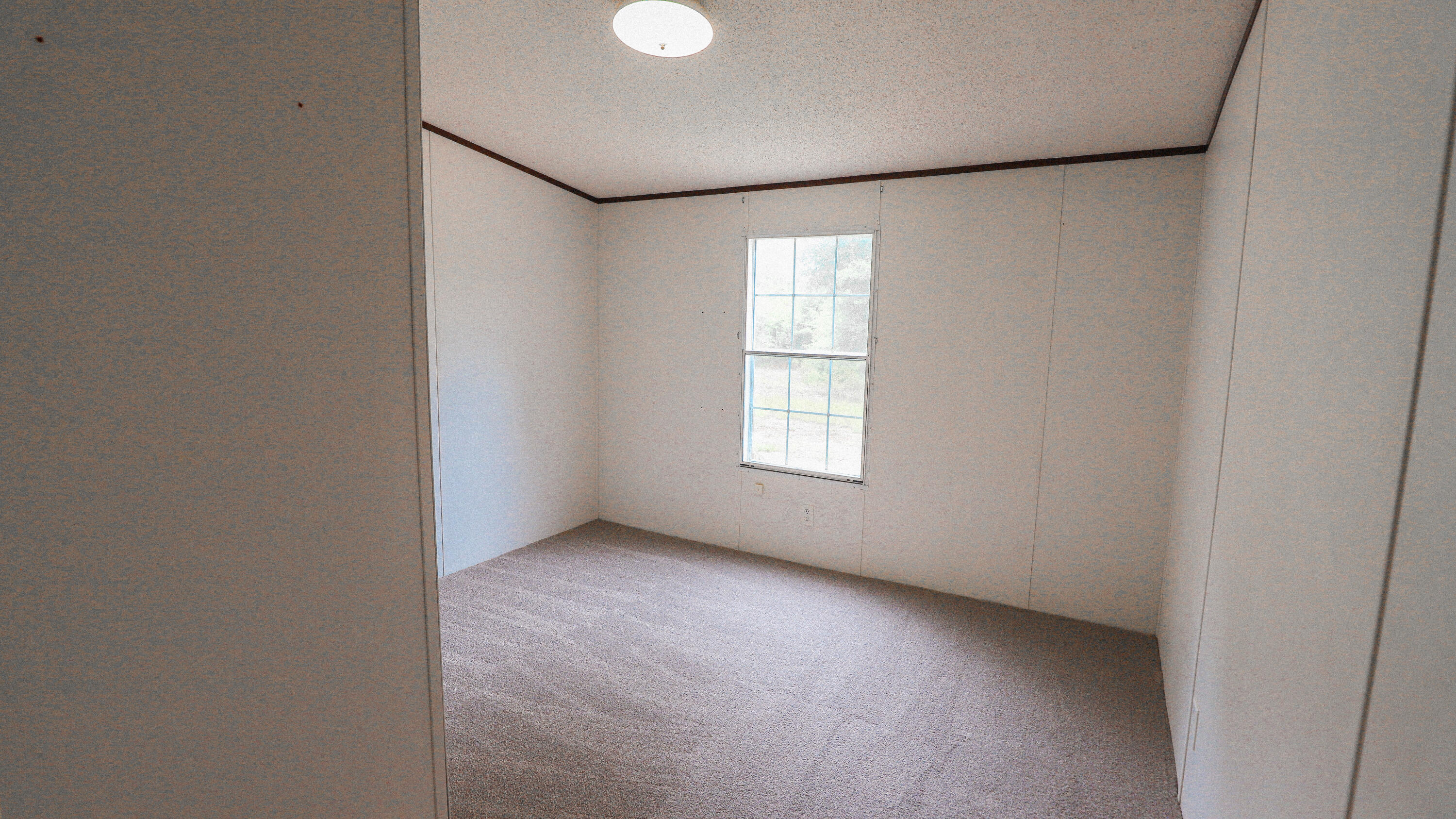459 Holiness Church Road Wagener, SC 29164 - Photo 15 of 23 Gallery Image 15