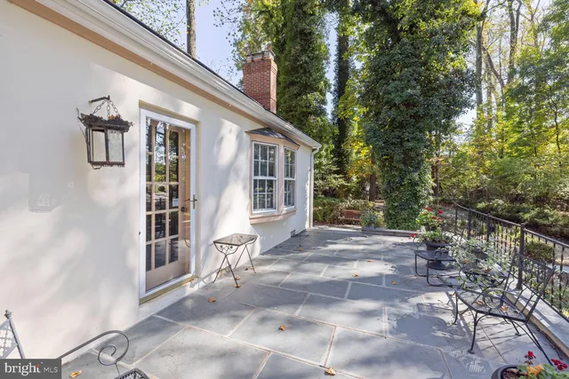 a view of a yard with a tree