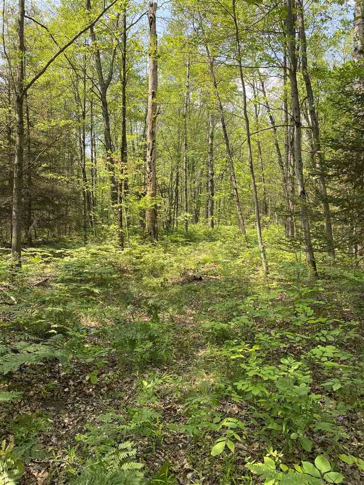 0 Briggs Road Omer, MI 48749 - Photo 28 of 45