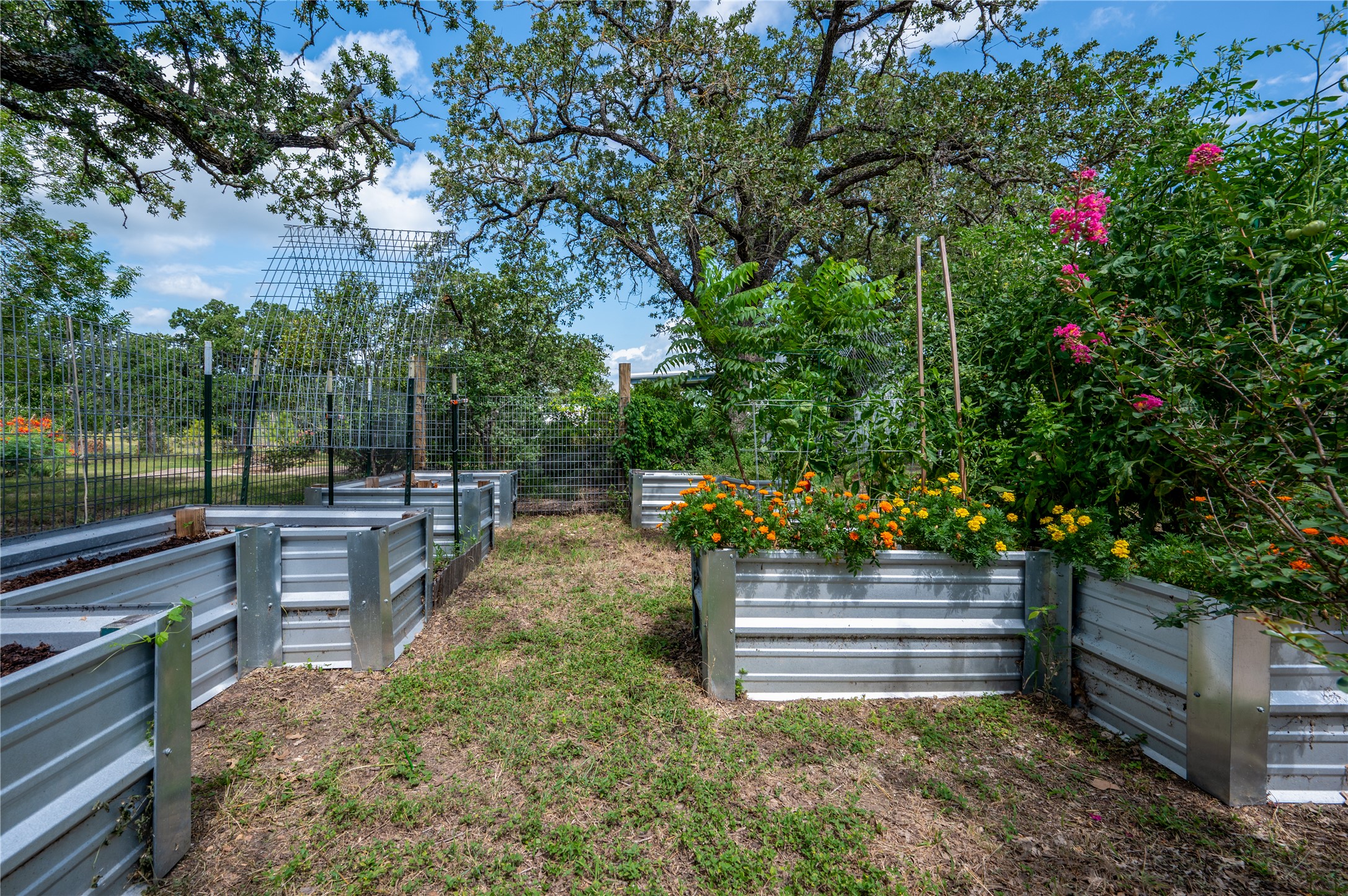 270 Dry Creek Road Manor, TX 78653 - Photo 21 of 40 Cultivate your culinary dreams in this charming backyard garden, featuring raised beds and mature trees.