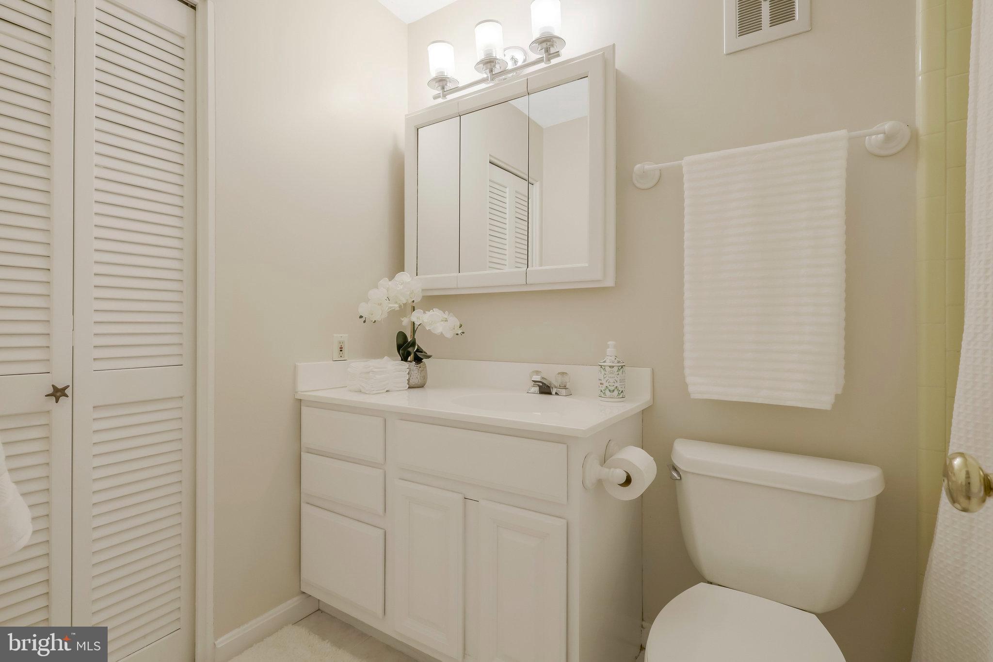 6713 Caneel Court Springfield, VA 22152 - Photo 26 of 44 Upper Hallway Bath