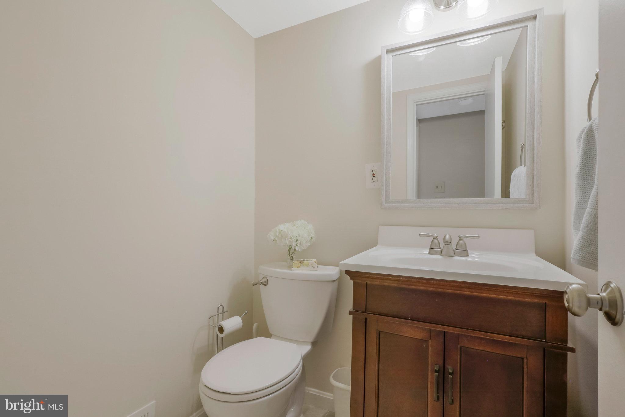 6713 Caneel Court Springfield, VA 22152 - Photo 31 of 44 Lower Level Bathroom