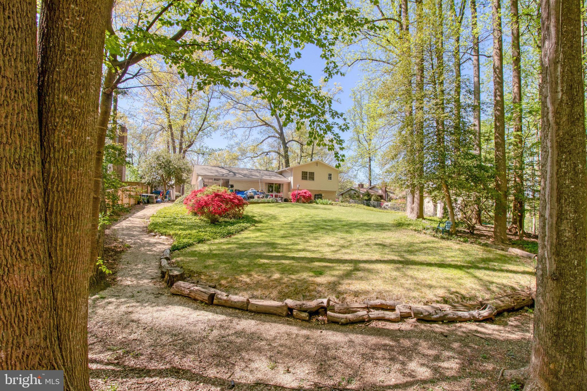 6713 Caneel Court Springfield, VA 22152 - Photo 43 of 44 Early Spring shot