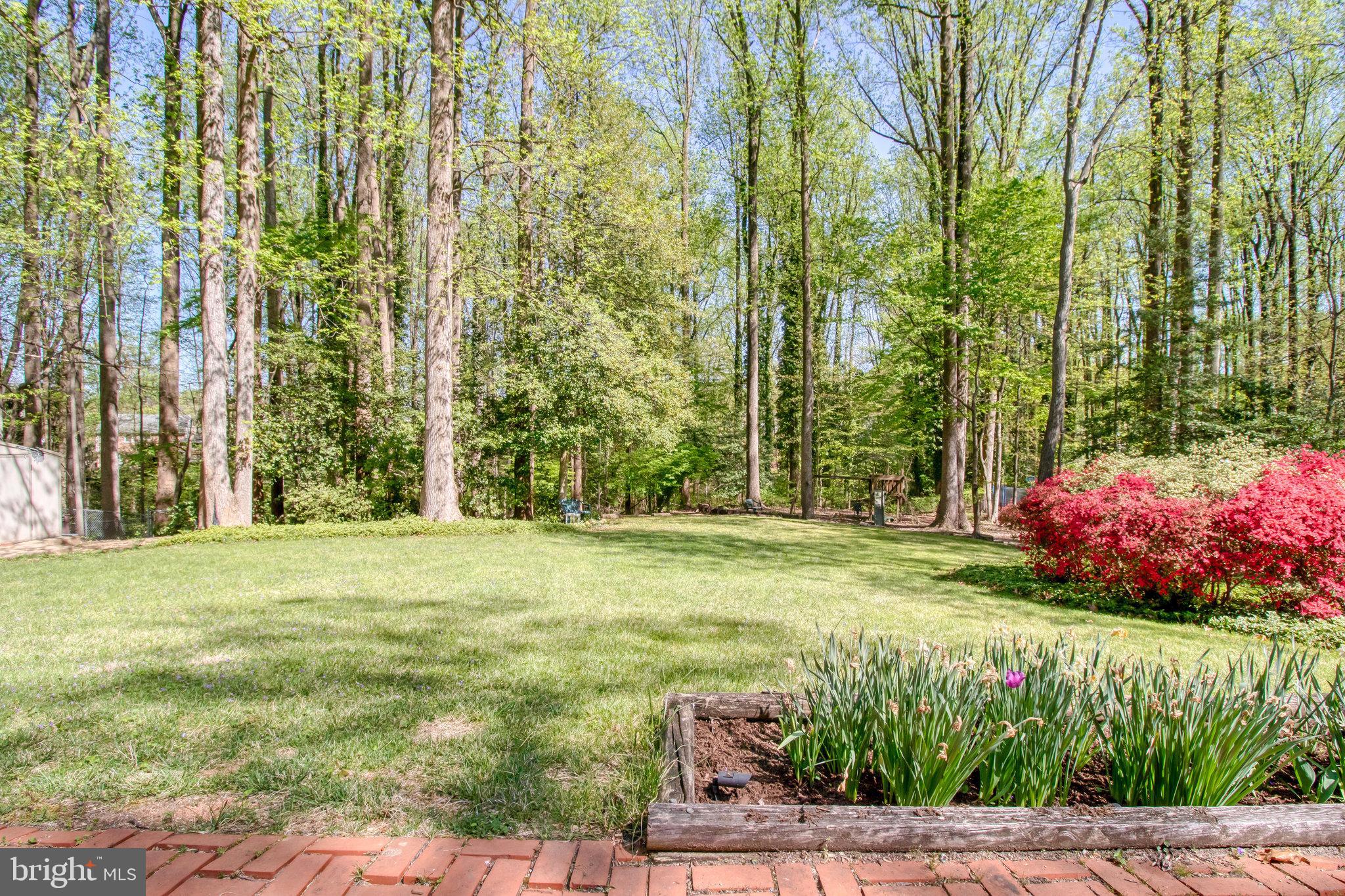 6713 Caneel Court Springfield, VA 22152 - Photo 44 of 44 Early Spring shot