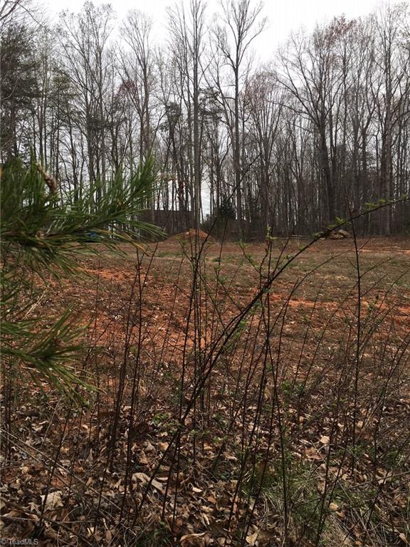 Lot #225 Laurel Ridge Reidsville, NC 27320 - Photo 2 of 3 Gallery Image 2
