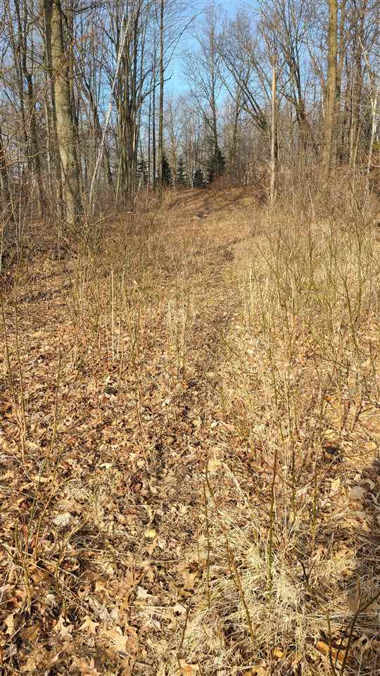 12600 Niblok Road Chesaning, MI 48616 - Photo 41 of 41