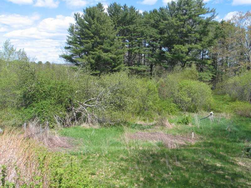 1084 Dutch Neck Road Waldoboro, ME 04572 - Photo 19 of 19 Yard/Garden.