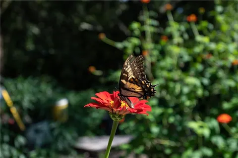 $578,500 | 1174 City Park Lane, Unit 245, Decatur, GA 30033