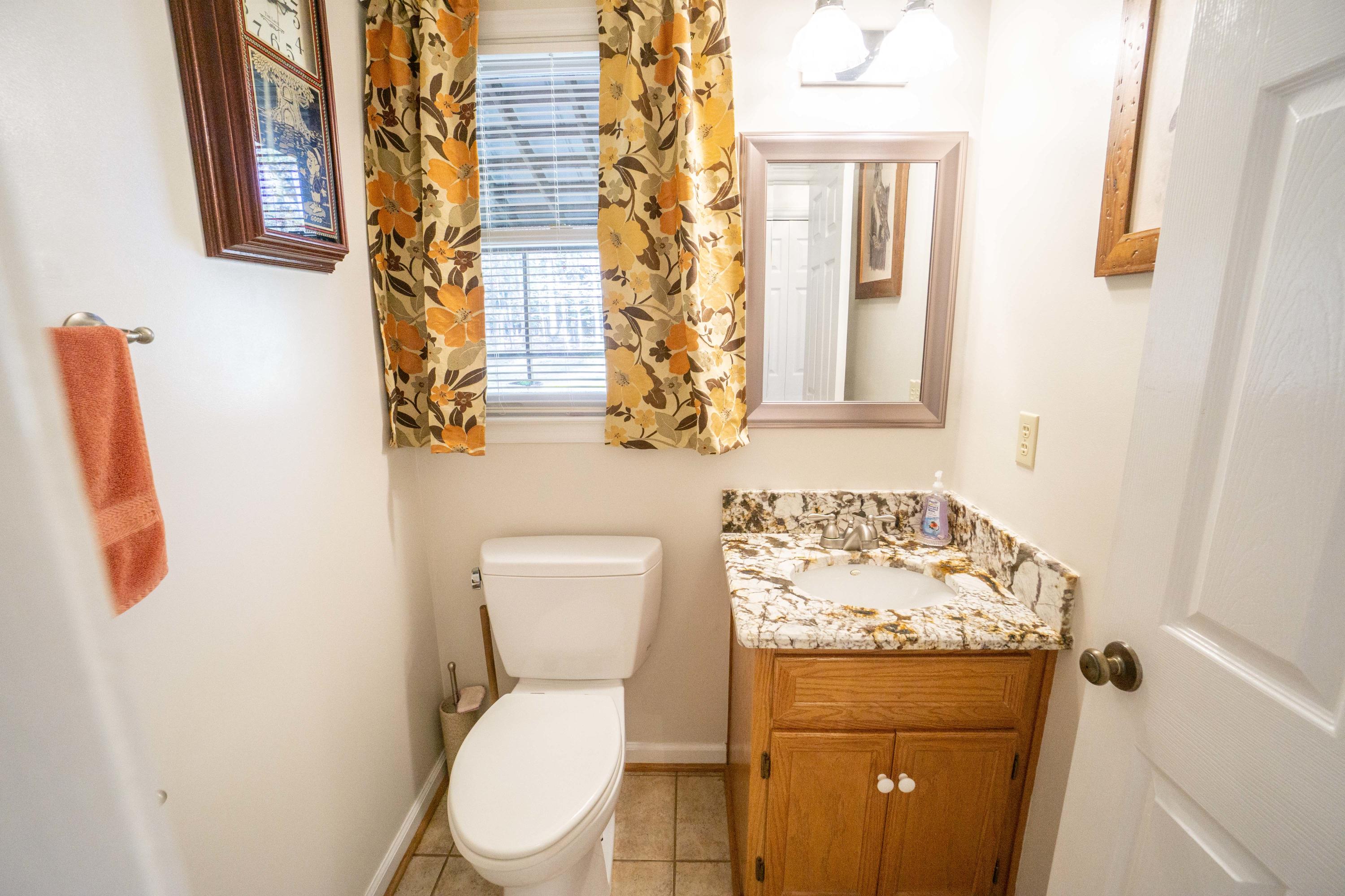 218 Oak Ridge Court Blue Ridge, VA 24064 - Photo 19 of 48 a bathroom with a toilet sink and shower