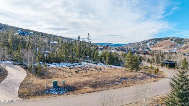 a view of a backyard with green space