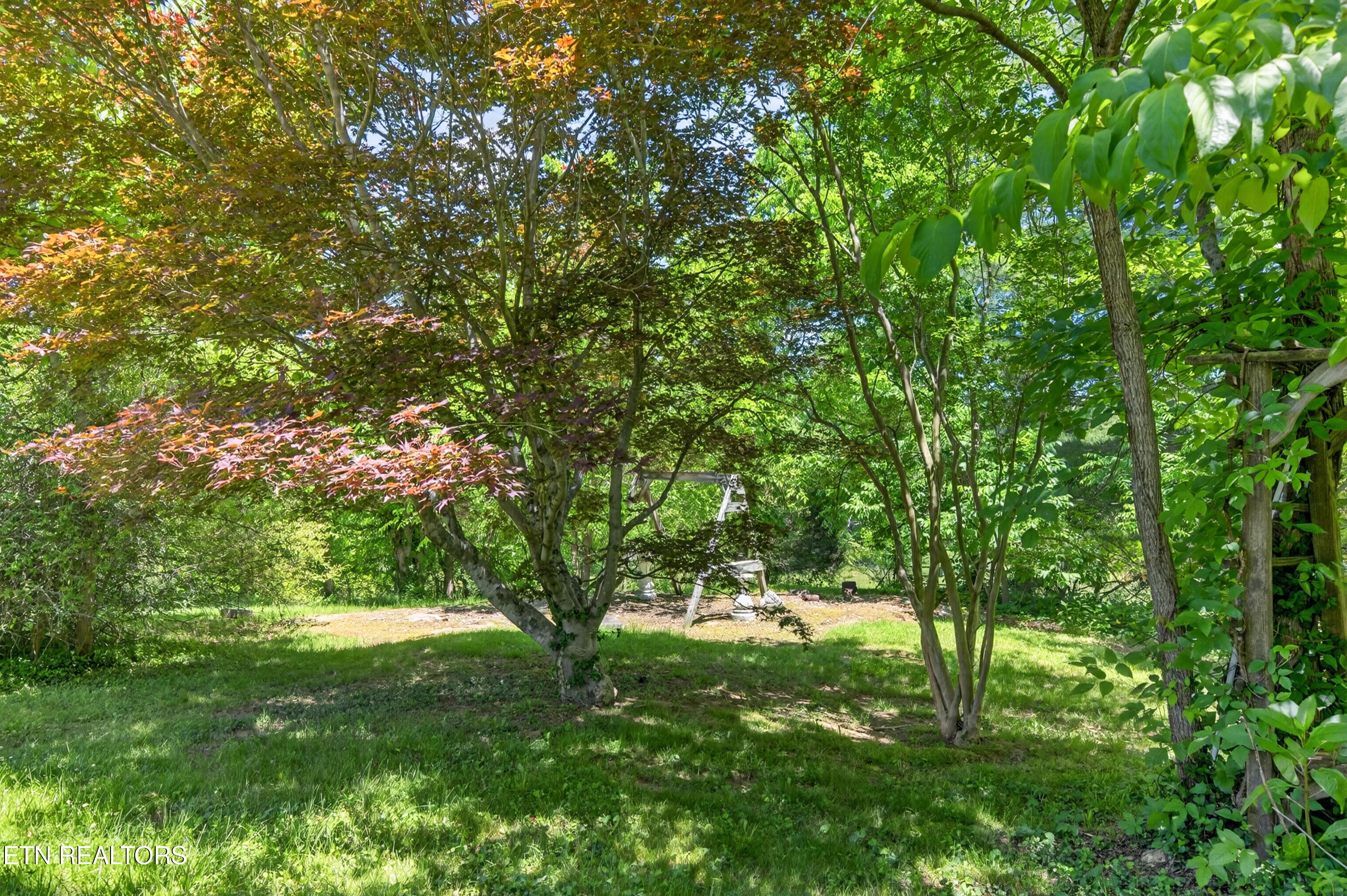 2155 Fairview Road Byrdstown, TN 38549 - Photo 43 of 52 12-print-2155 Fairview Rd_065_TNPC