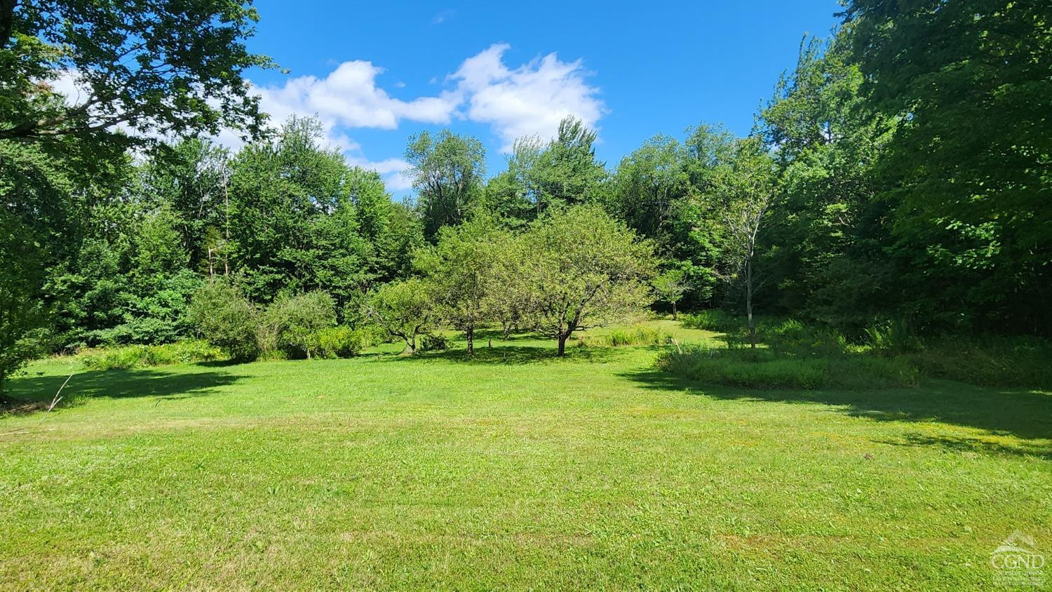 527 Broome Center Road Broome, NY 12469 - Photo 46 of 48 Photo 46