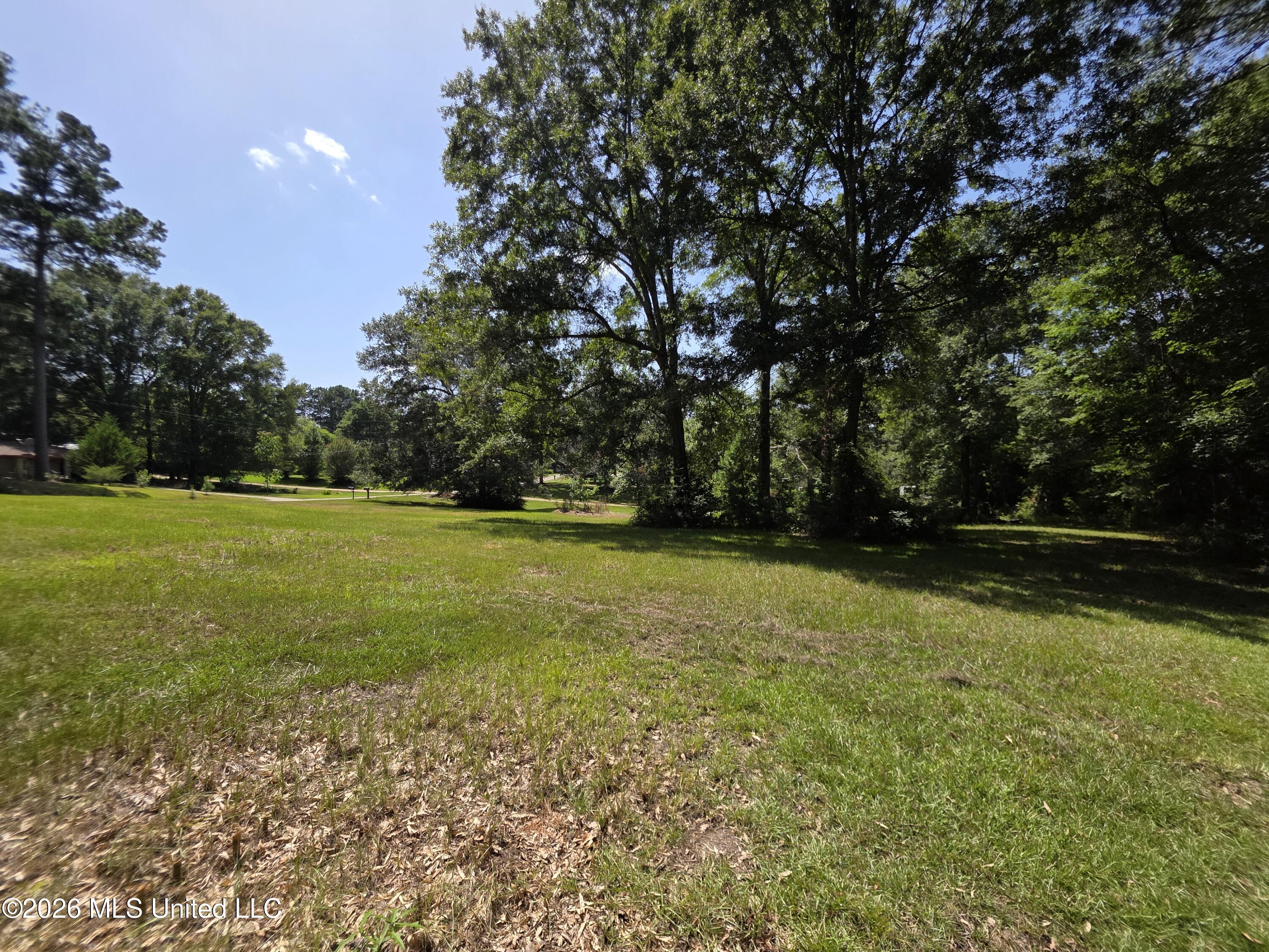 1041 3rd Street Wesson, MS 39191 - Photo 12 of 21 36600