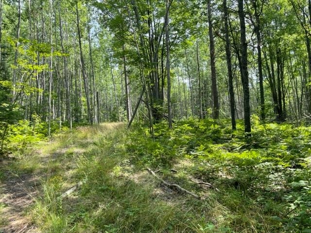 80-acres East Pierce Road Harrison, MI 48625 - Photo 5 of 33