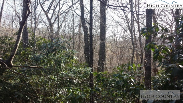 Bee Balm Lane Boone, NC 28607 - Photo 3 of 6 Gallery Image 3