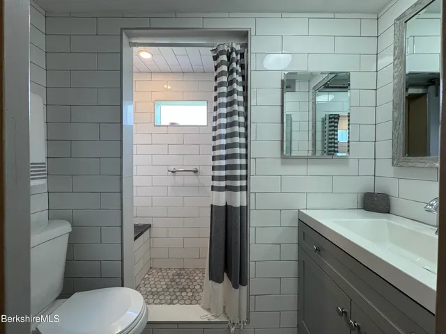 a bathroom with a toilet a sink and mirror