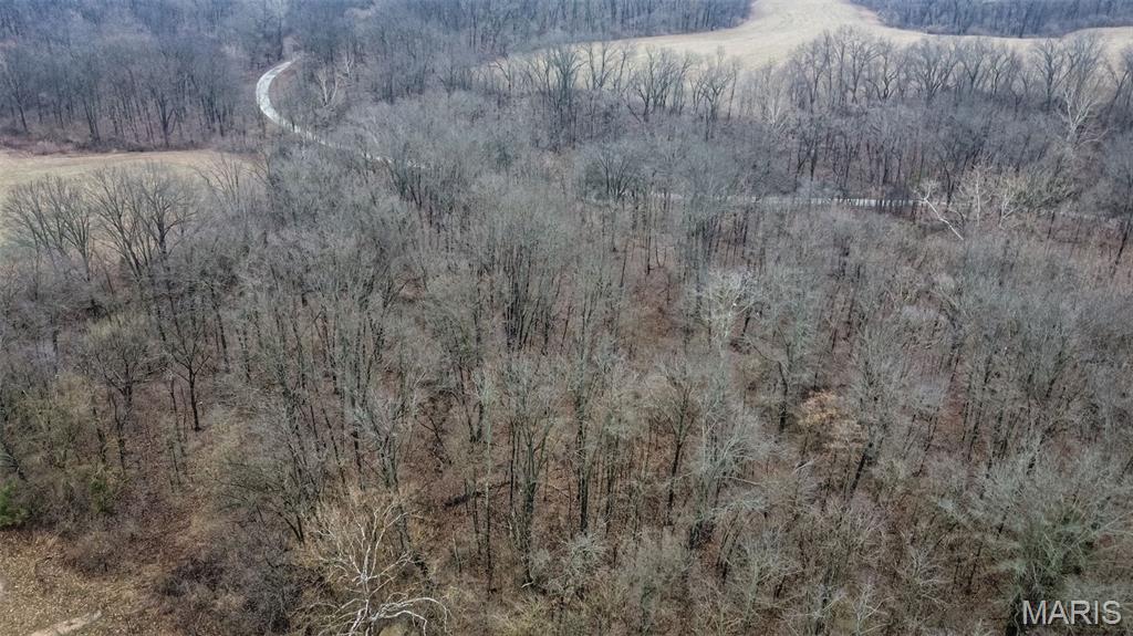 20326 Richey Hollow Road Jerseyville, IL 62052 - Photo 18 of 23