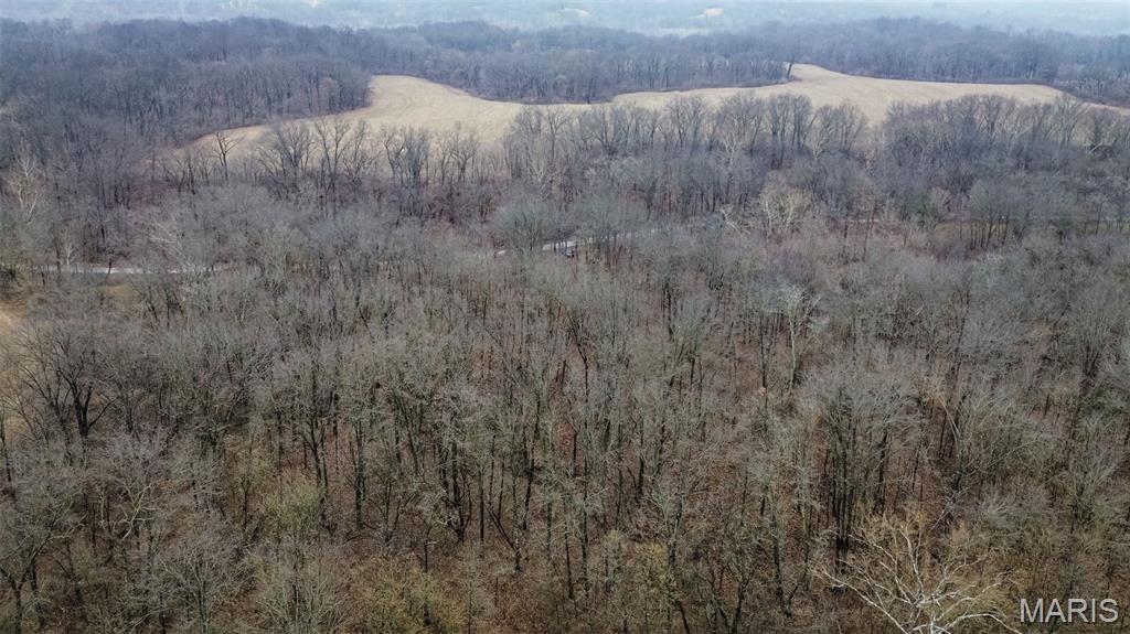 20326 Richey Hollow Road Jerseyville, IL 62052 - Photo 21 of 23