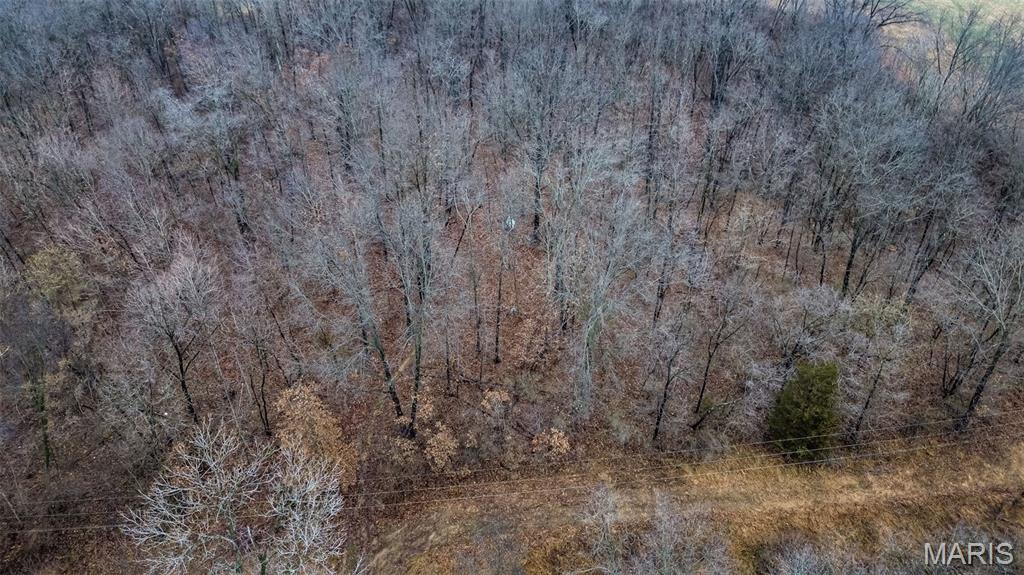 20326 Richey Hollow Road Jerseyville, IL 62052 - Photo 23 of 23