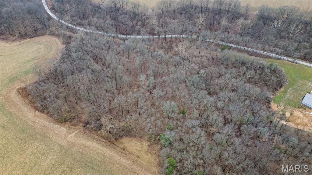 20326 Richey Hollow Road Jerseyville, IL 62052 - Photo 4 of 23