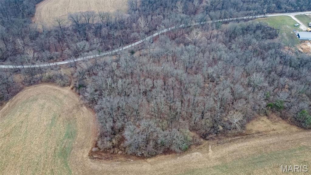 20326 Richey Hollow Road Jerseyville, IL 62052 - Photo 5 of 23