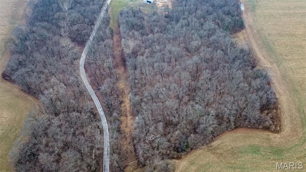 20326 Richey Hollow Road Jerseyville, IL 62052 - Photo 7 of 23