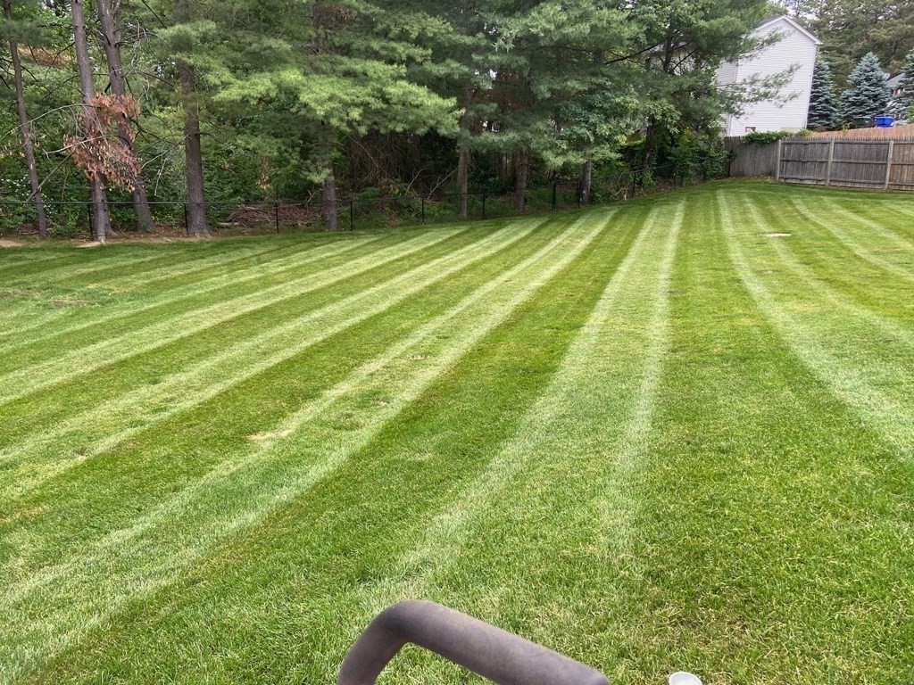 88 Fair Oak Road Springfield, MA 01128 - Photo 10 of 34 a view of a swimming pool with a yard