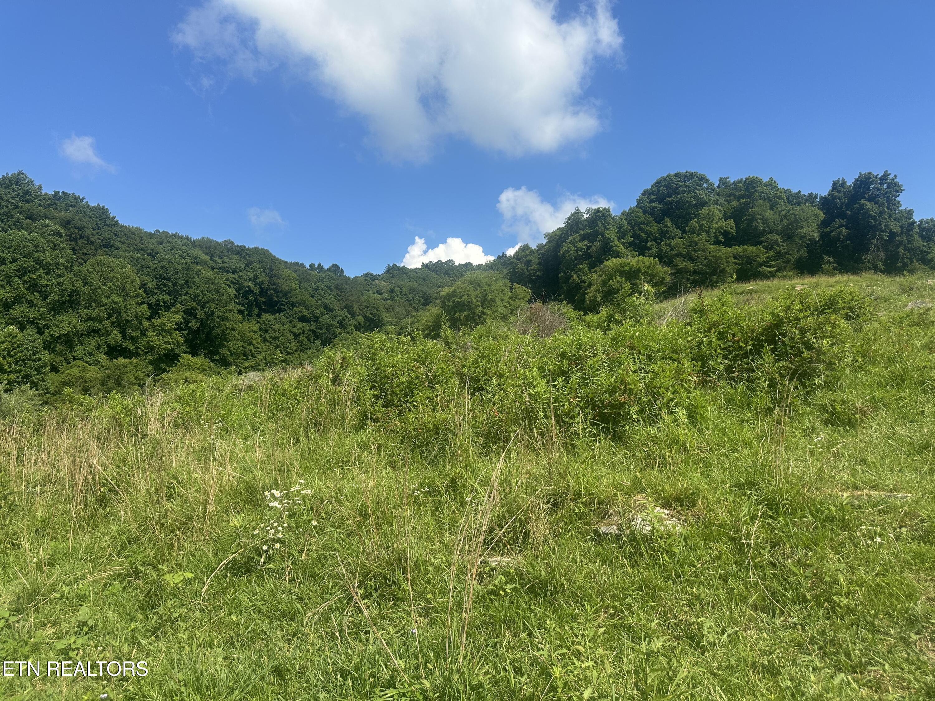 Cumberland Estates Road Road Cumberland Gap, TN 37724 - Photo 2 of 9 IMG_0653