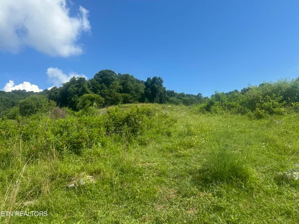 $220,000 | Cumberland Estates Road Road, Cumberland Gap, TN 37724