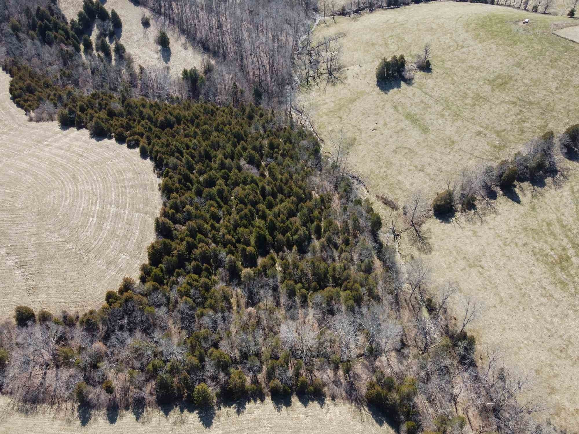 2740 Lemon Northcutt Road Dry Ridge, KY 41035 - Photo 18 of 37