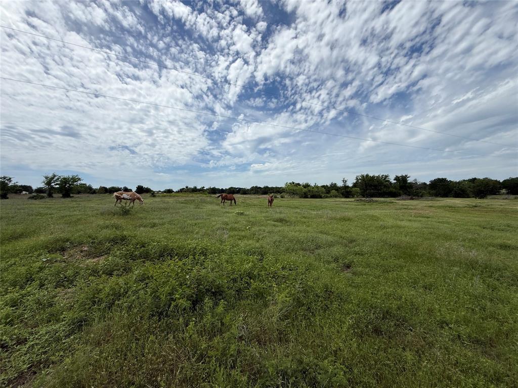 14516 Old Garner Road Garner, TX 76088 - Photo 7 of 13 a view of a field with an ocean