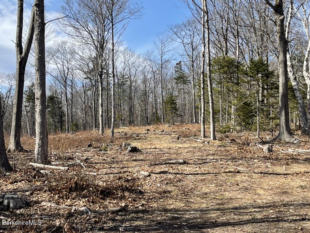 88 Church Road Florida, MA 01343 - Photo 7 of 10 a view of a yard covered in snow