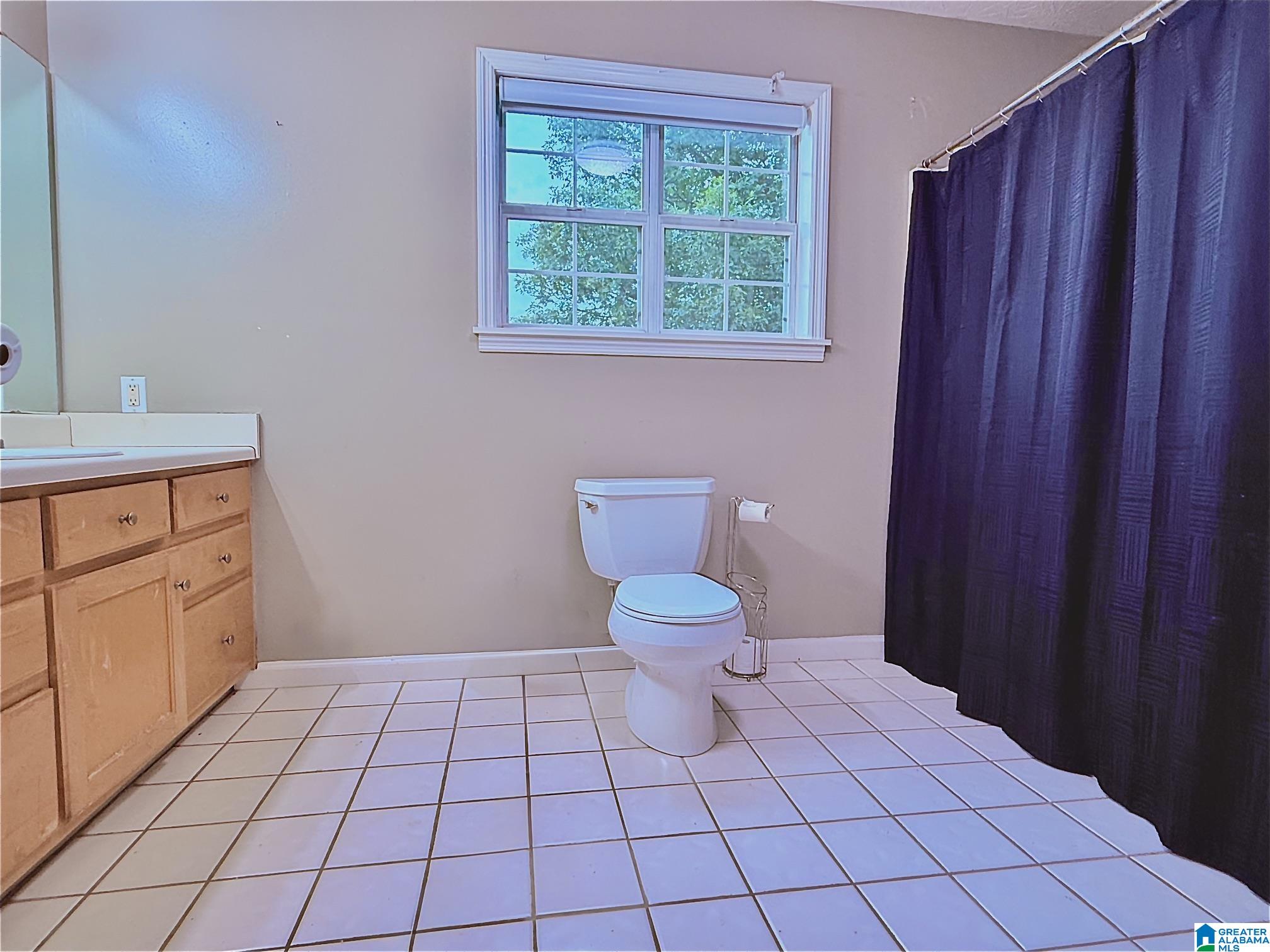 785 Shady Grove Road Piedmont, AL 36272 - Photo 34 of 70