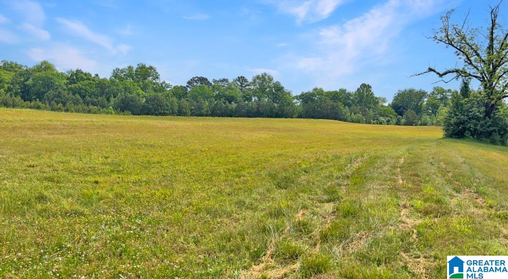 4694 Holly Grove Road Jasper, AL 35501 - Photo 37 of 42