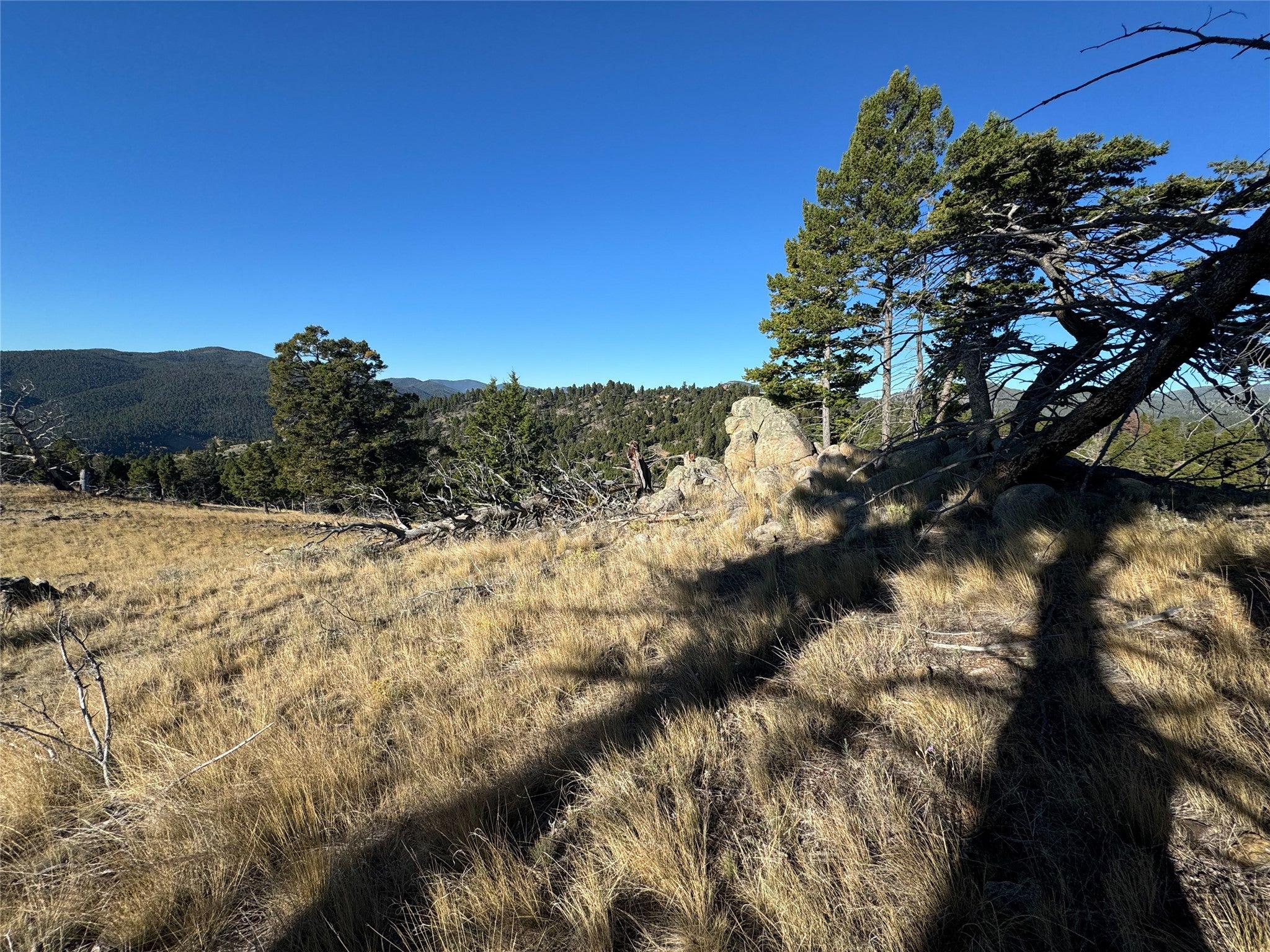 Tbd (40.1-ac) Tbd (40.1-ac) High Ore Road Boulder, MT 59632 - Photo 45 of 62 Gallery Image 45