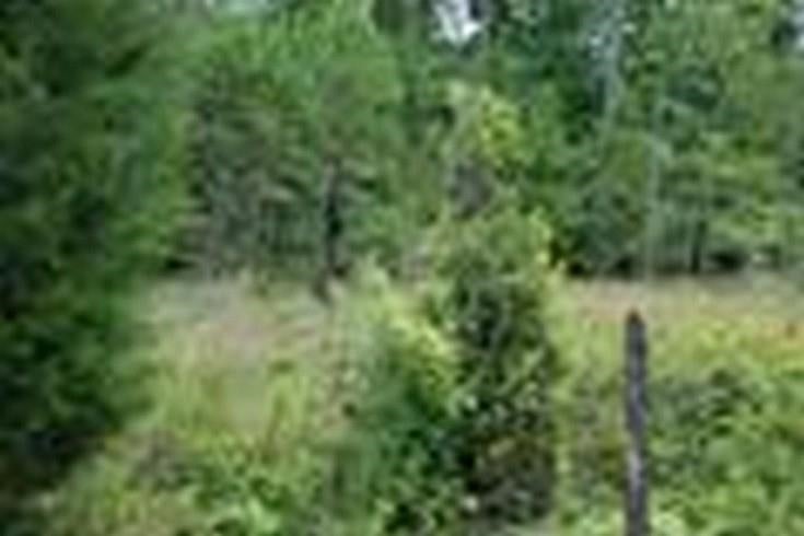 1.15-ac Sandy Landing Road Andalusia, AL 36421 - Photo 1 of 6 Gallery Image 1