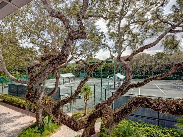 a view of a tennis court