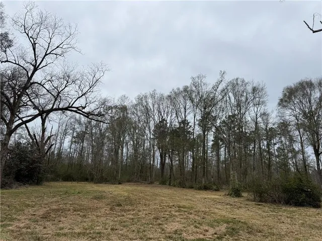 $46,000 | 63271 Hill Street, Roseland, LA 70456