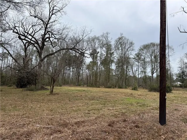 $46,000 | 63271 Hill Street, Roseland, LA 70456