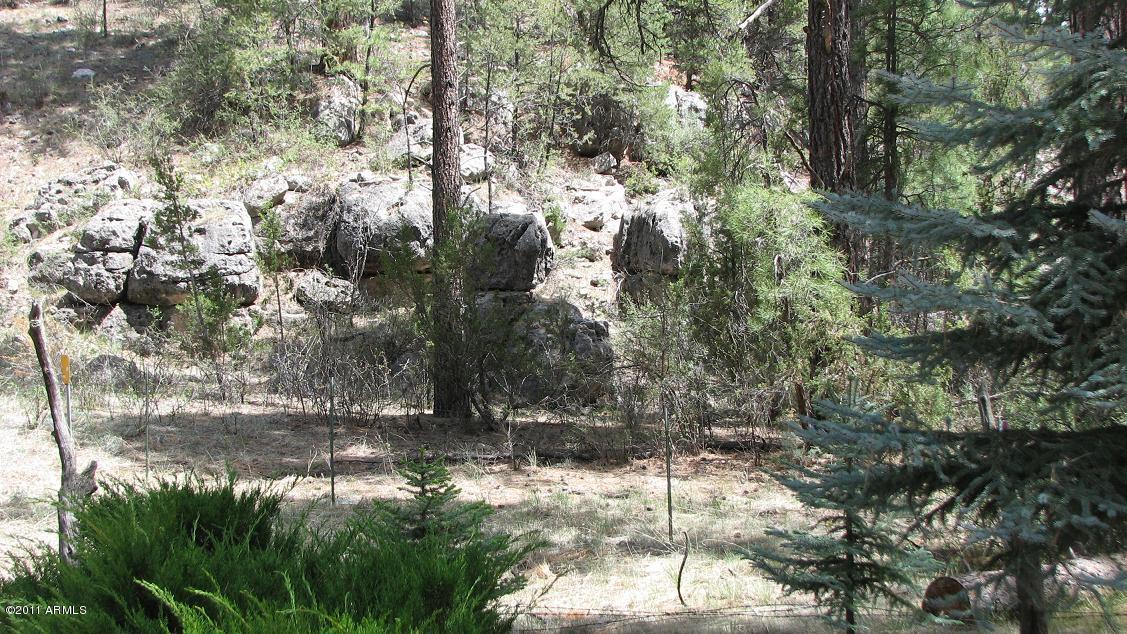 2935 Deer Hill Road Heber, AZ 85928 - Photo 14 of 14 a view of lot of trees and trees