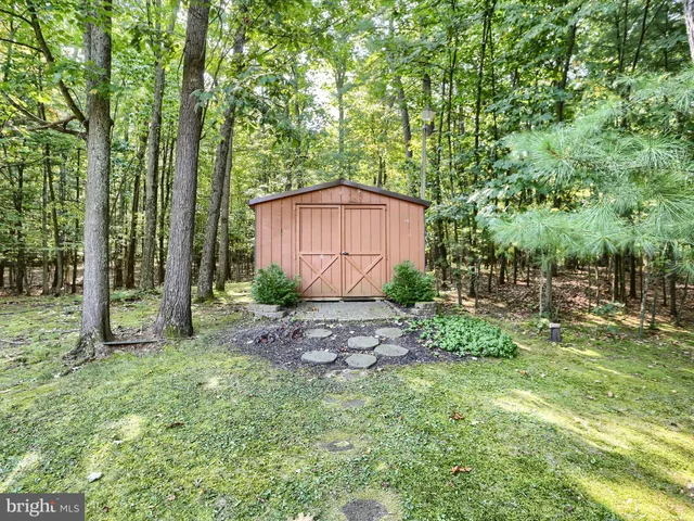 a view of a yard with a tree