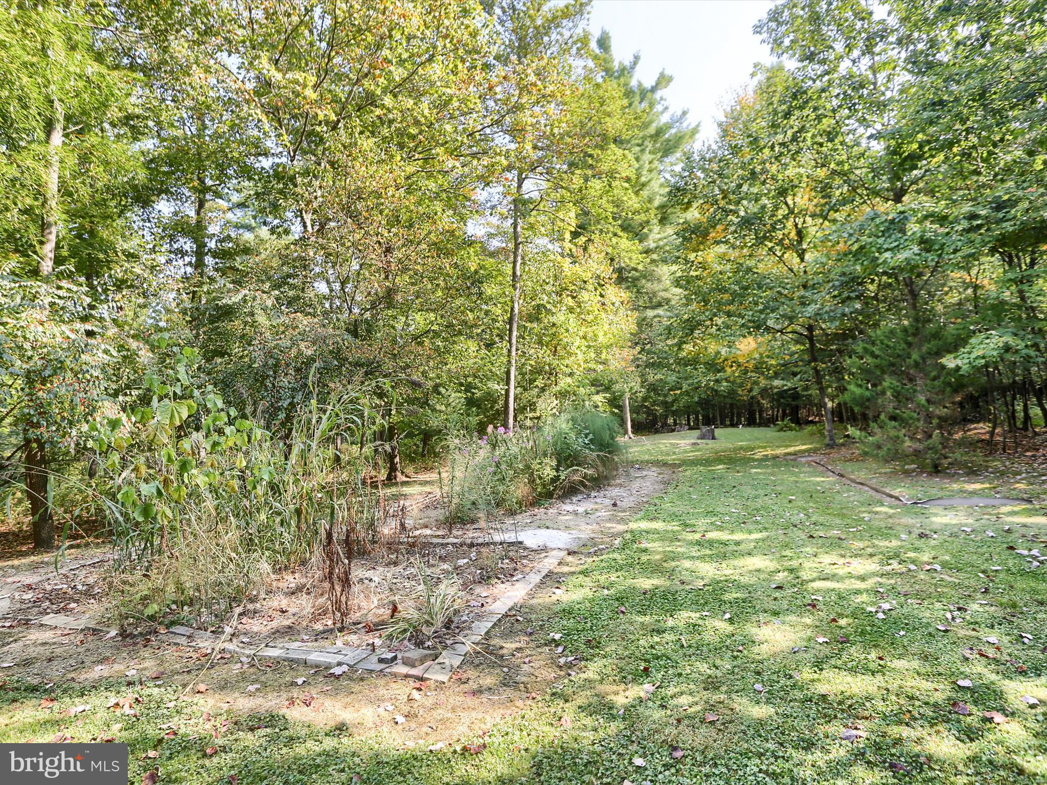333 Mauger Path Road Port Royal, PA 17082 - Photo 46 of 58 a view of a yard with a tree