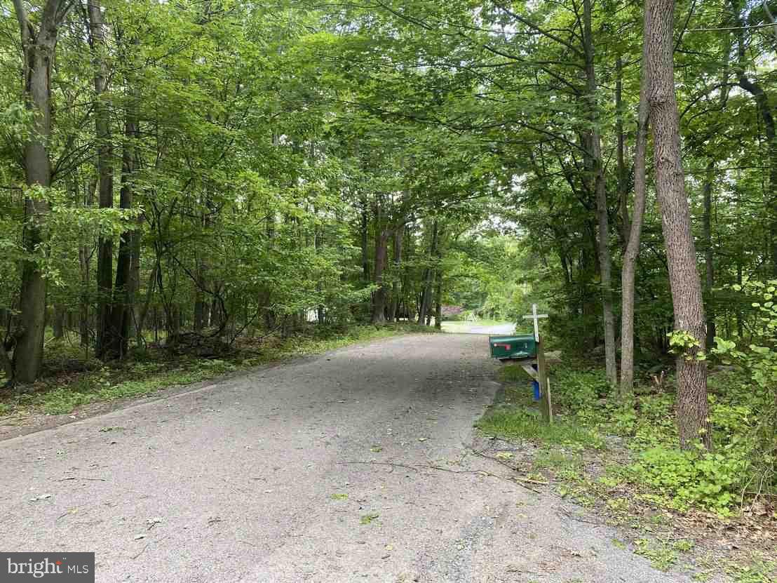 333 Mauger Path Road Port Royal, PA 17082 - Photo 51 of 58 a view of a forest filled with trees