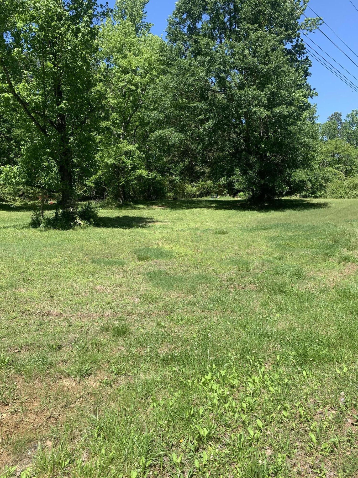 555 North Avery Road Northwest Rome, GA 30165 - Photo 35 of 37 Level acreage