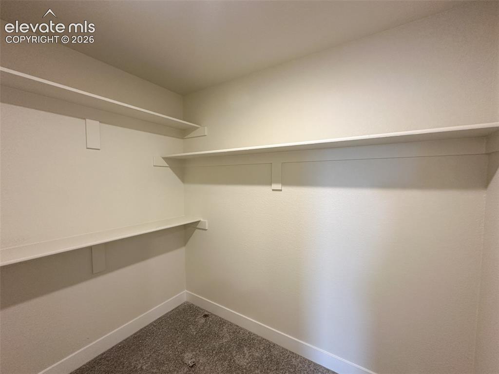 8214 Lemon Grass Road Falcon, CO 80831 - Photo 24 of 41 Dual primary closets