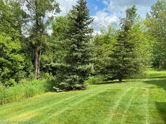 2774 Antrim Court Rochester, MI 48306 - Photo 63 of 67 IMG_5018.jpg