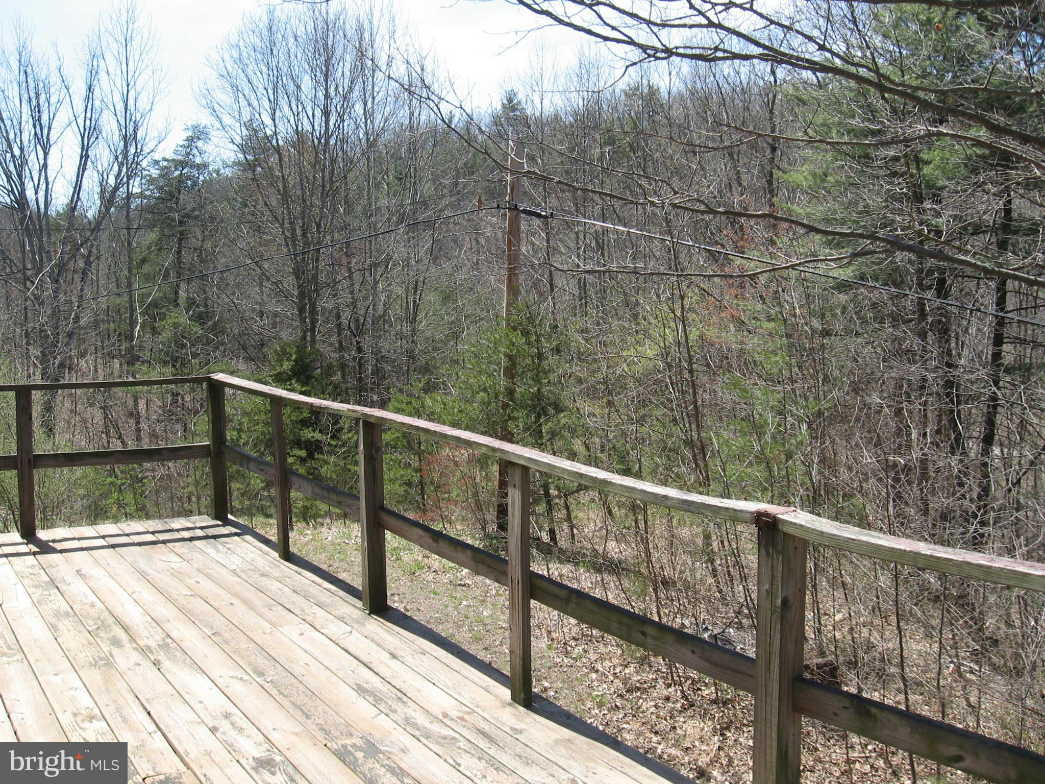 944 Mountain Run Road Berkeley Springs, WV 25411 - Photo 20 of 26 Exterior (General)