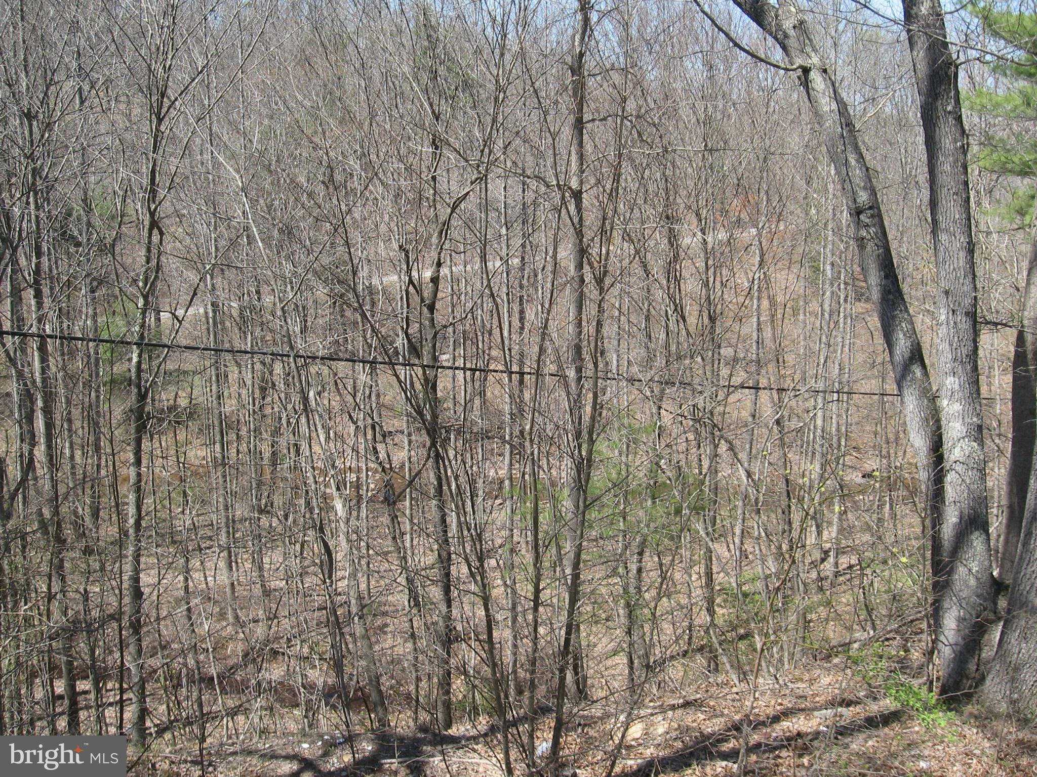 944 Mountain Run Road Berkeley Springs, WV 25411 - Photo 21 of 26 View